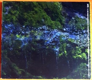 ANIMAL COLLECTIVE - WATER CURSES EP (2008) - CD DOMINO 2.EL