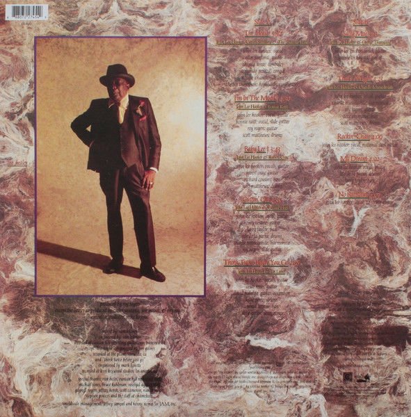 JOHN LEE HOOKER - THE HEALER (1989) - LP 180GR 2022 EDITION MADE IN USA SIFIR PLAK