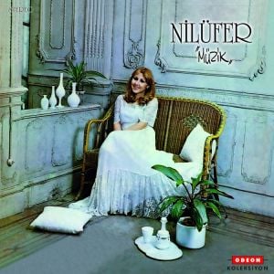 NİLÜFER - MÜZİK (1978) - 2022 BASKI LP SIFIR PLAK