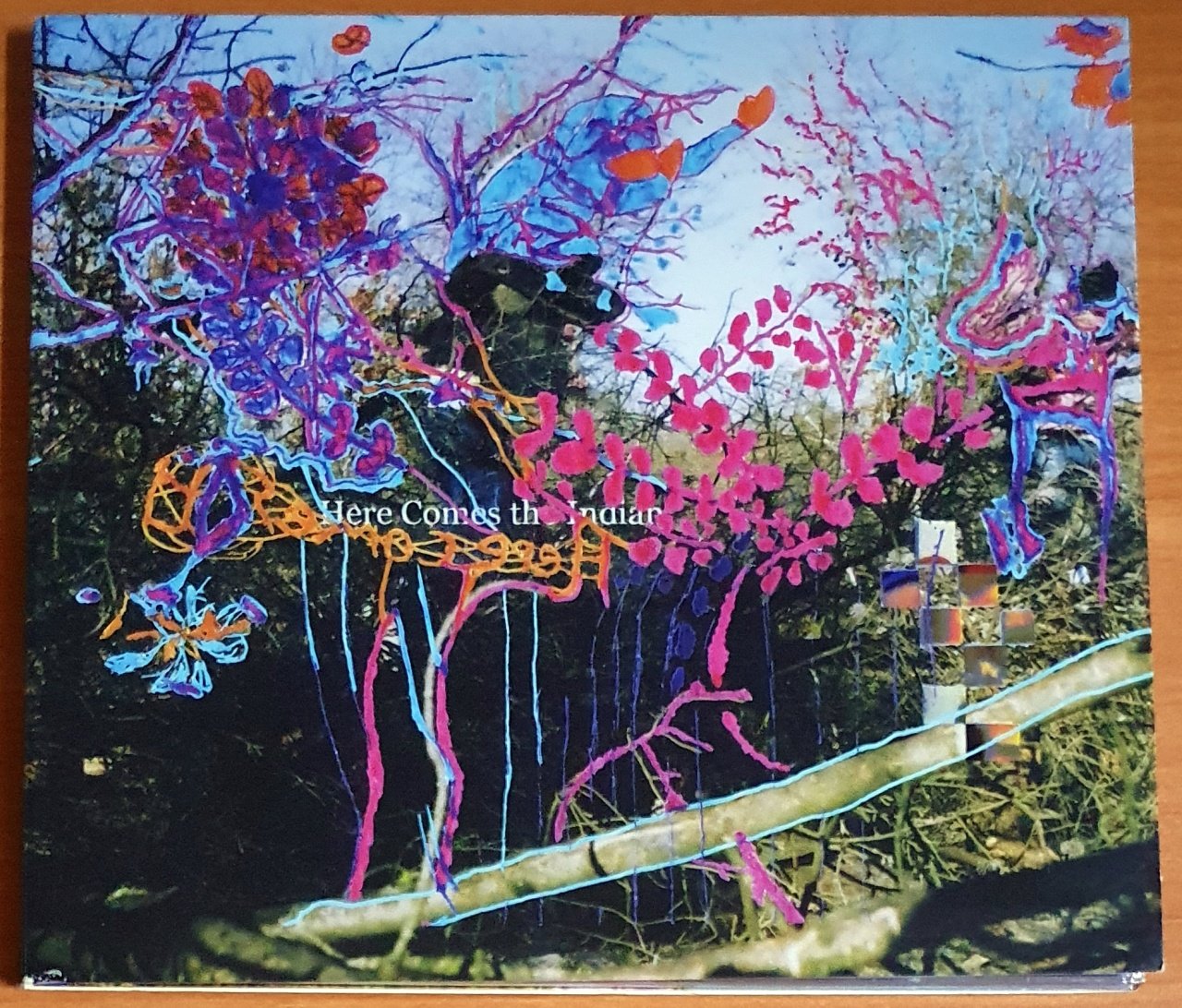 ANIMAL COLLECTIVE - HERE COMES THE INDIAN (2003) - CD PAW TRACKS 2.EL