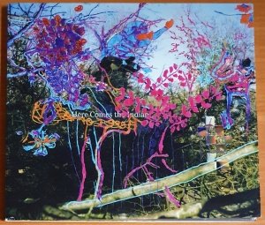 ANIMAL COLLECTIVE - HERE COMES THE INDIAN (2003) - CD PAW TRACKS 2.EL