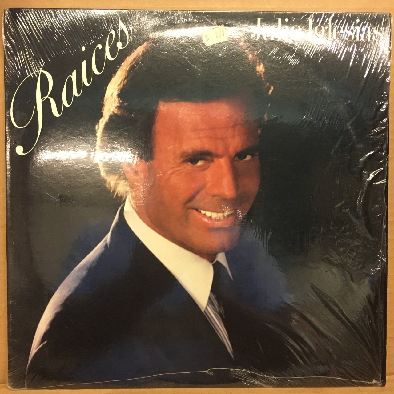 JULIO IGLESIAS - RAICES (1989) - 2.EL PLAK