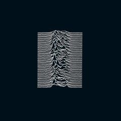 JOY DIVISION - UNKNOWN PLEASURES (1979) - PLAK SIFIR