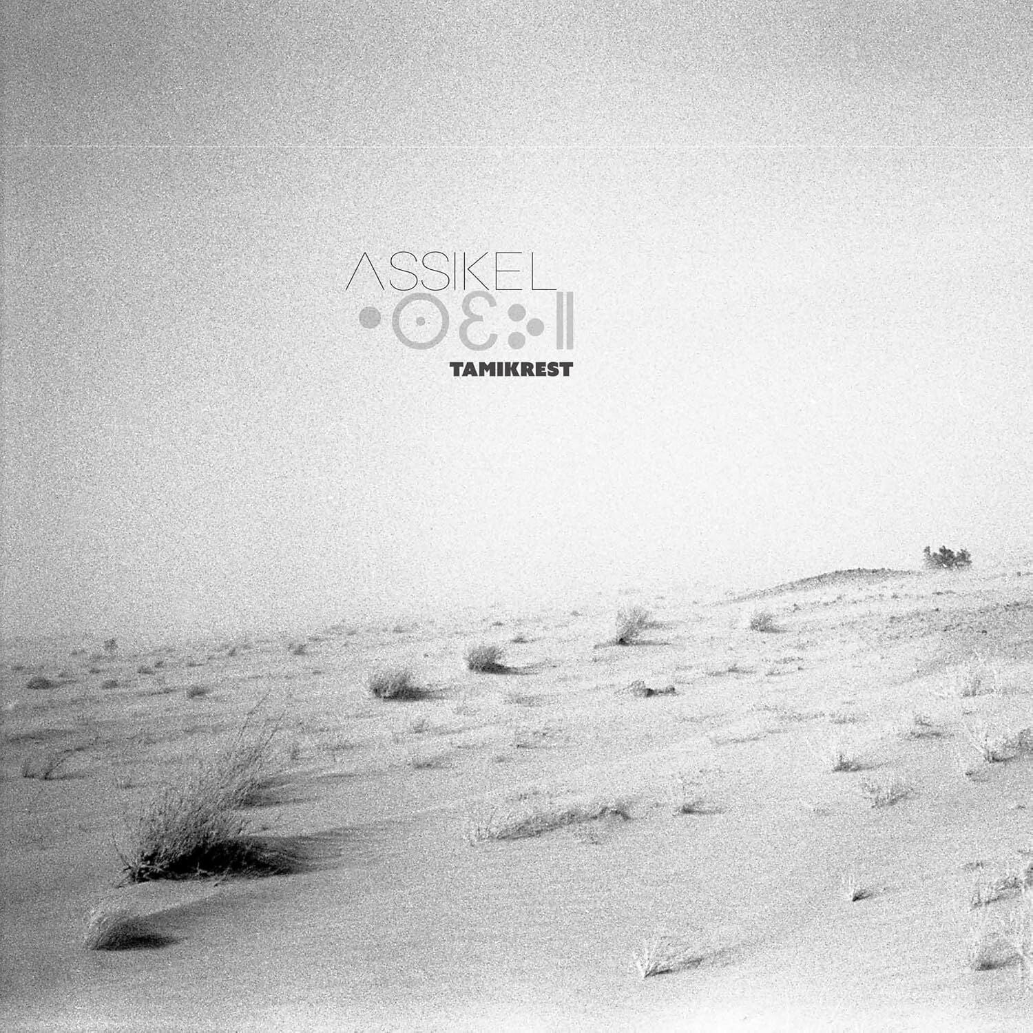 TAMIKREST - ASSIKEL (2026) - SIFIR PLAK , BLUES
