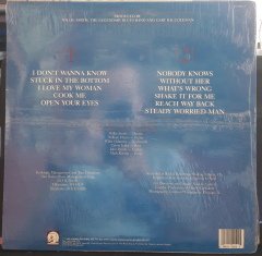 THE LEDGENDARY BLUES BAND - KEEPIN' THE BLUES ALIVE (1990) - PLAK SIFIR