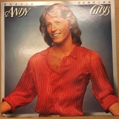 ANDY GIBB - SHADOW DANCING 1978 2.EL PLAK