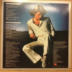 ANDY GIBB - SHADOW DANCING 1978 2.EL PLAK