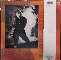 TAYLOR DANE - TELL IT TO MY HEART (1987) - PLAK 2.EL