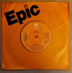 RAFFAELLA CARRA - CALIFORNIA / TANTI AUGURI (1978) - 7'' 45 DEVİR SINGLE PLAK