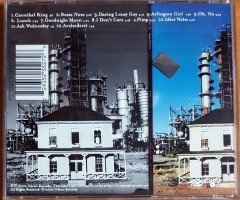 SHIVAREE - I OUGHTTA GIVE YOU A SHOT IN THE HEAD FOR MAKING ME LIVE IN THIS DUMP (2000) CD 2.EL
