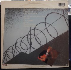 BRIAN SETZER - THE KNIFE FEELS LIKE JUSTICE (1986) - PLAK 2.EL