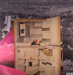 JAMES LEVY AND THE BLOOD RED ROSE - PRAY TO BE FREE (2012) - LP SIFIR PLAK
