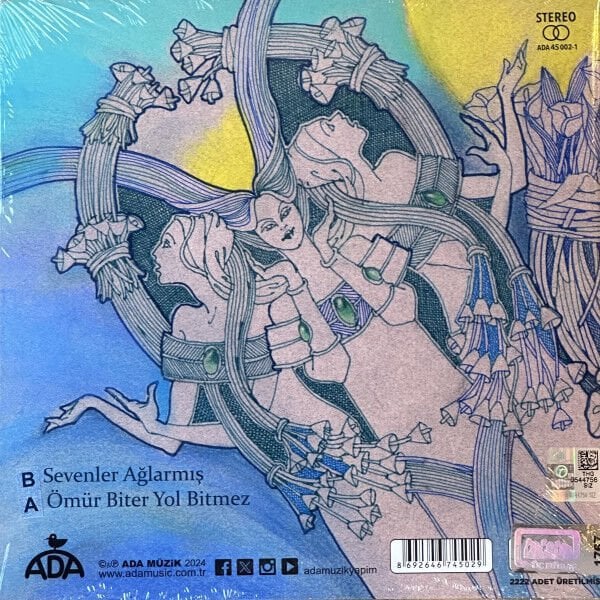 3 HÜREL (ÜÇ HÜREL) - SEVENLER AĞLARMIŞ / ÖMÜR BİTER YOL BİTMEZ (1974) - 2024 BASIM RESİM BASKILI 7'' 45RPM SINGLE SIFIR PLAK