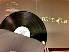 RSPC (ROADSIDE PICNIC) - LE CAFARD - PLAK+REDEEM CODE + HAND NUMBERED LIMITED EDITION (300) - PLAK 2.EL