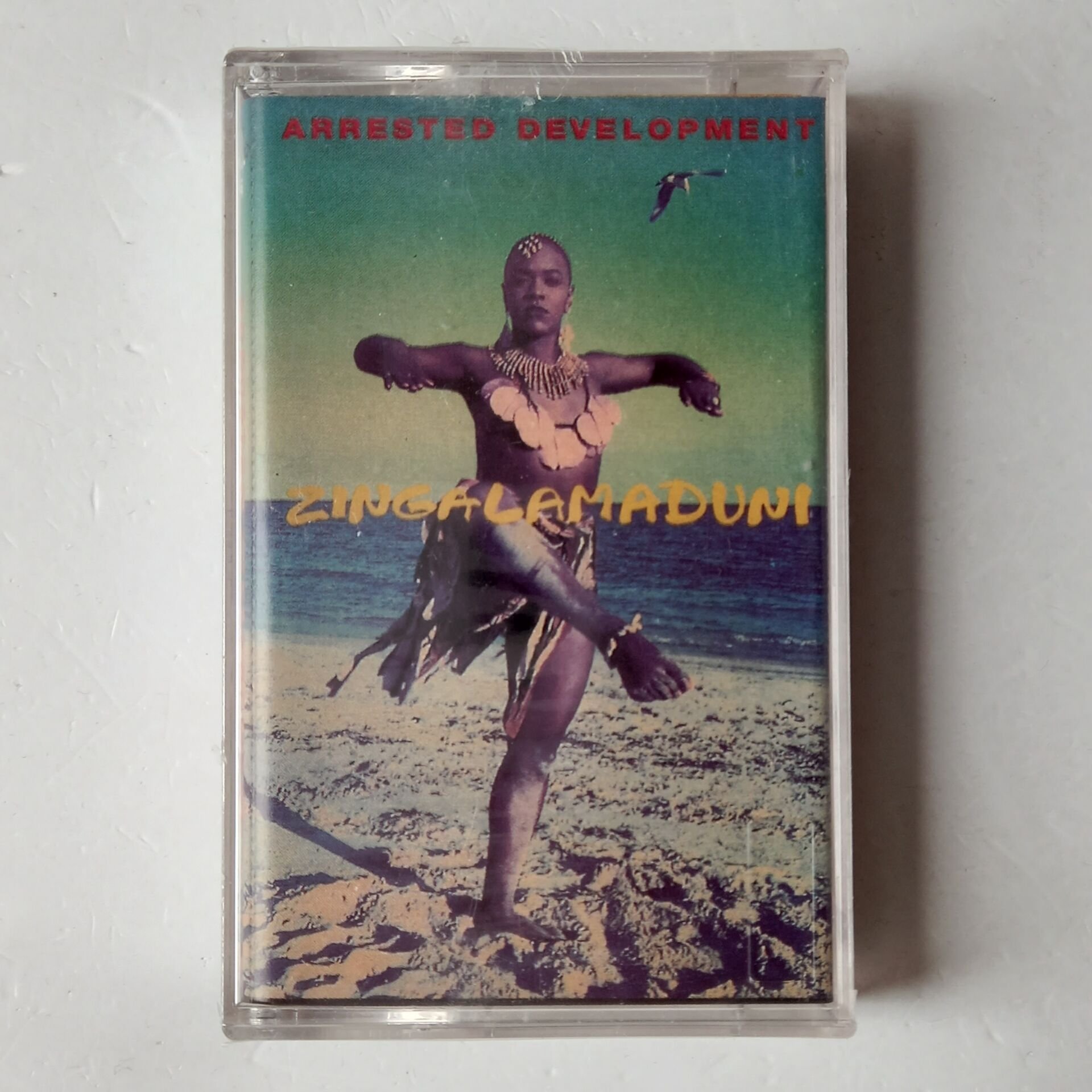 ARRESTED DEVELOPMENT - ZINGALAMADUNI (1992) - KASET SIFIR