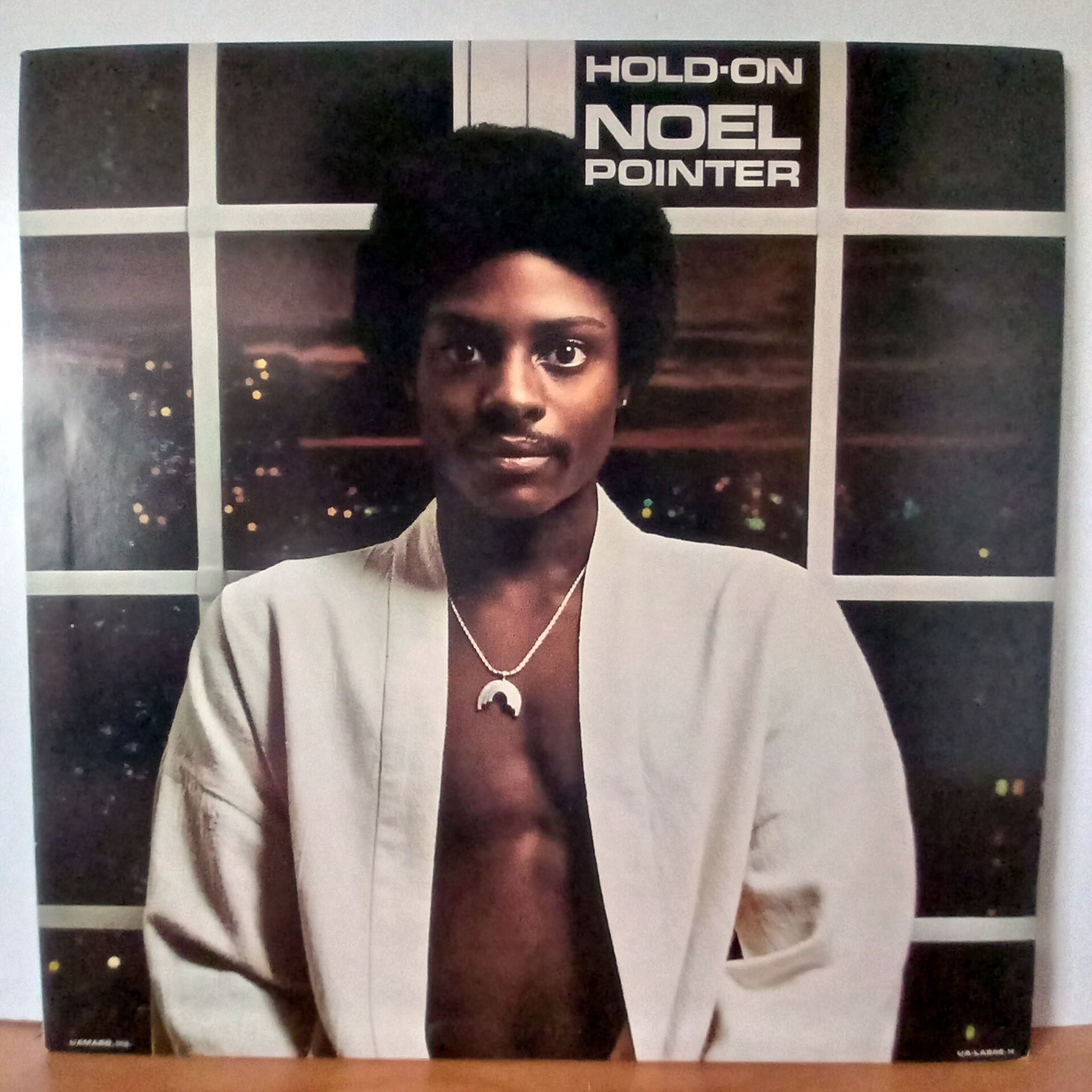 NOEL POINTER – HOLD ON (1978) - LP 2.EL PLAK