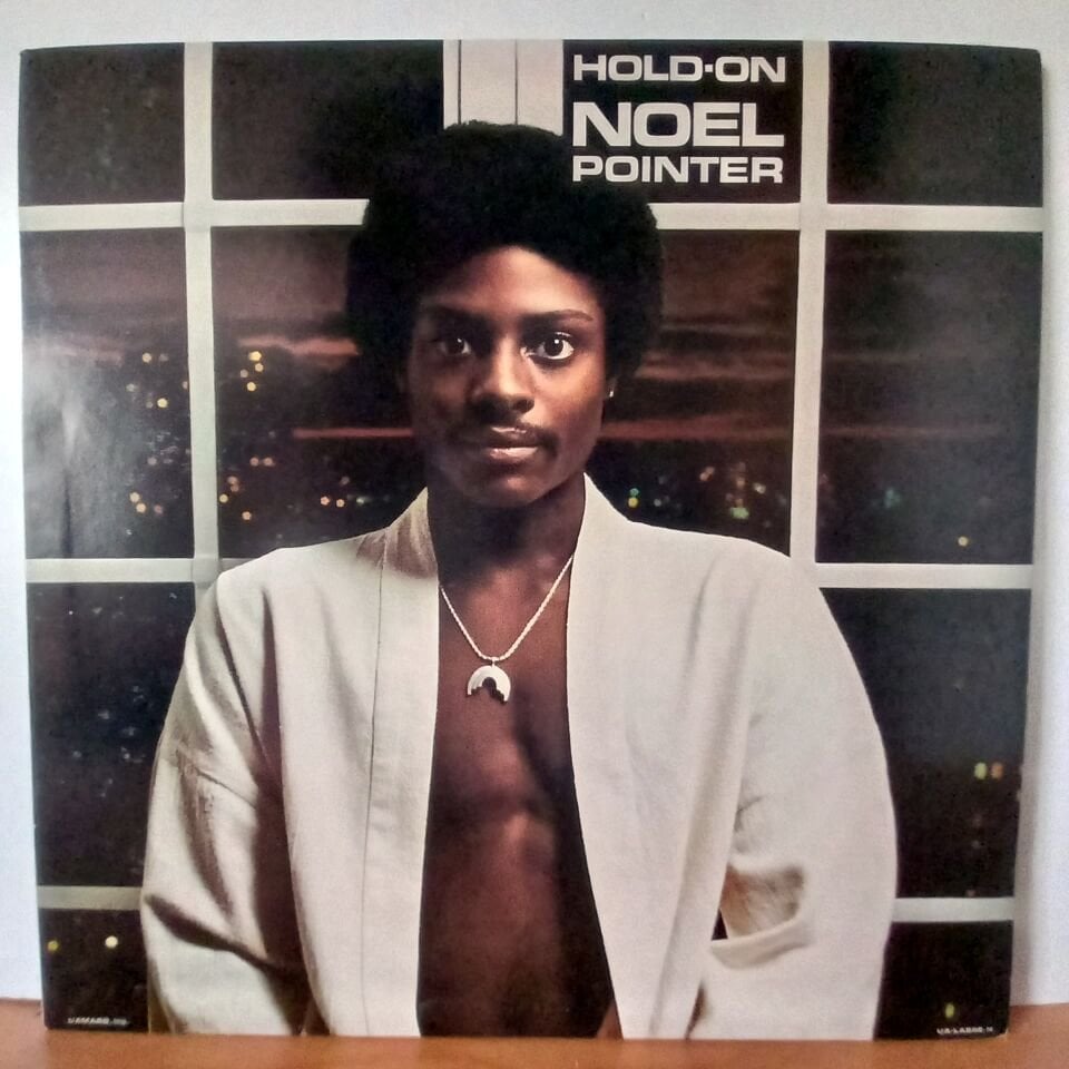 NOEL POINTER – HOLD ON (1978) - LP 2.EL PLAK