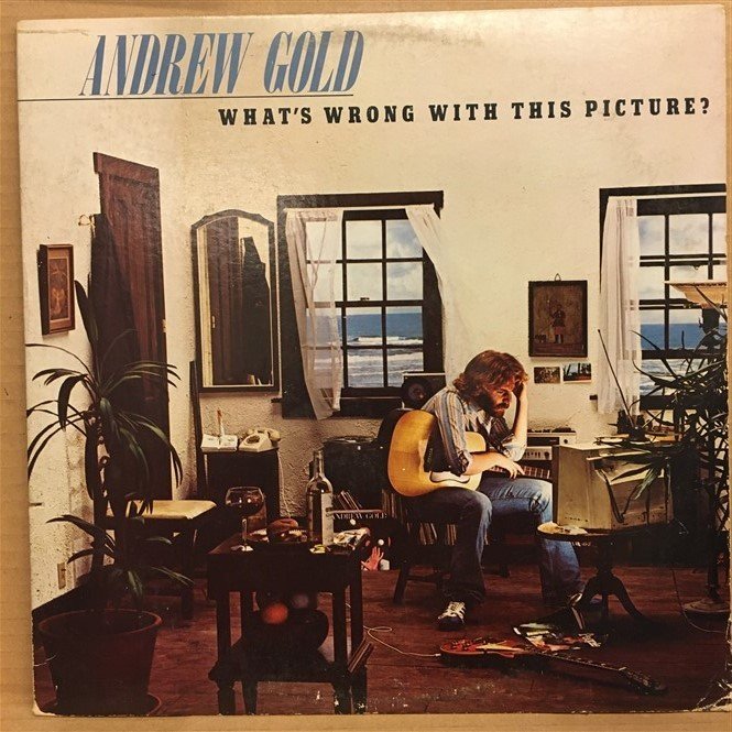 ANDREW GOLD - WHAT'S WRONG WITH THIS PICTURE? - LP 2.EL PLAK