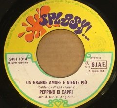 PEPPINO DI CAPRI - UN GRANDE AMORE E NIENTE PIU / PER FAVORE NON GRIDARE 7'' 45 DEVİR