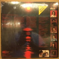 ROSS-LEVINE BAND - THAT SUMMER SOMETHING 1981 2.EL PLAK