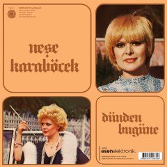NEŞE KARABÖCEK - DÜNDEN BUGÜNE (1977) - LP 2021 BASIM SIFIR PLAK