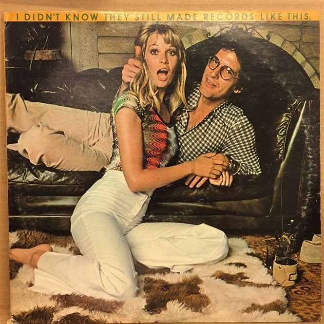 VARIOUS ARTISTS / I DIDN'T KNOW THEY STILL MADE RECORDS LIKE THIS / SEALS & CROFT, BONNIE RAIT, LEO SAYER, VAN MORRISON, CHER, JAMES TAYLOR - 2LP 2.EL PLAK