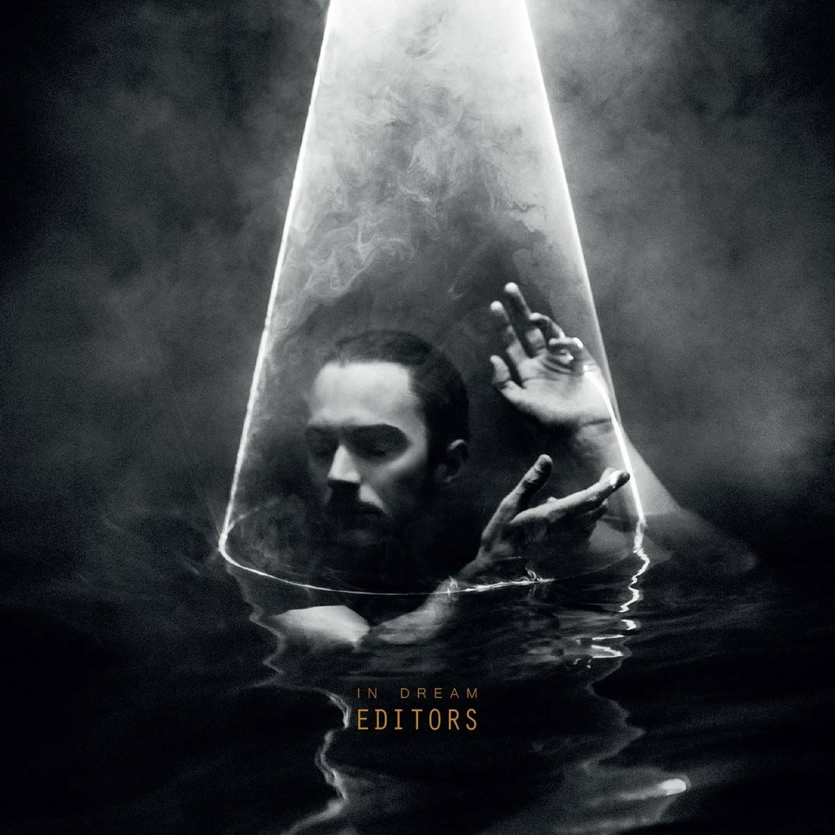 EDITORS - IN DREAM (2015) - LP GATEFOLD SIFIR PLAK