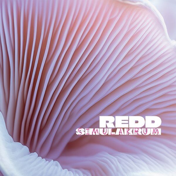 REDD - SIMULAKRUM (2025) - LP SIFIR PLAK