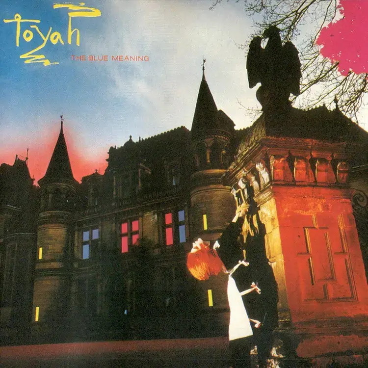 TOYAH - THE BLUE MEANING (1980) - LP 2021 EDITION SIFIR PLAK