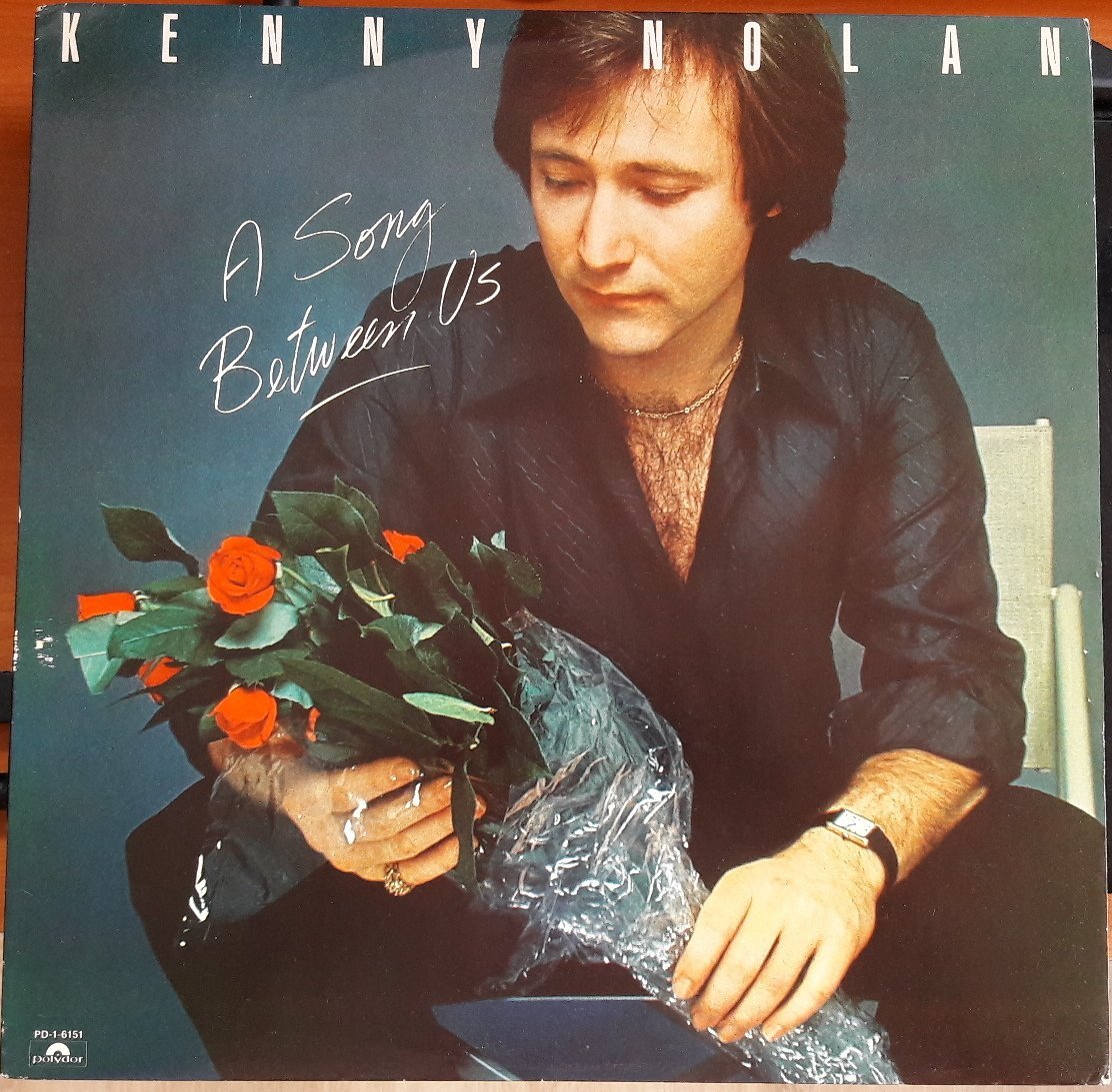 KENNY NOLAN - A SONG BETWEEN US (1978) - PLAK 2.EL