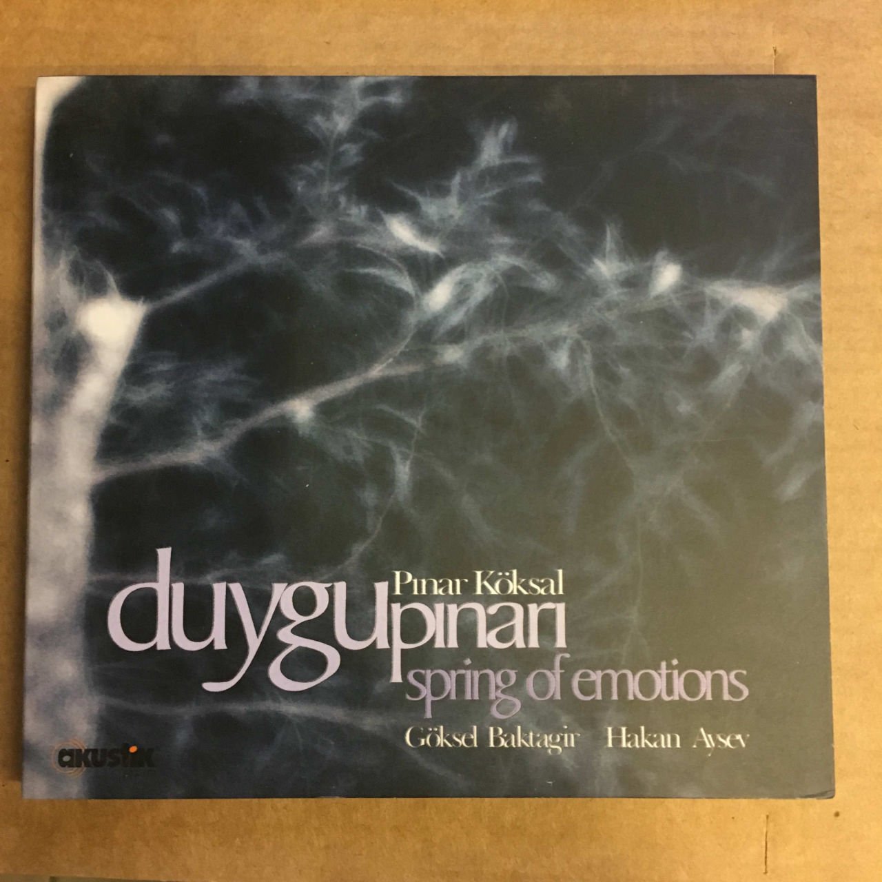 PINAR KÖKSAL DUYGU PINARI CD GÖKSEL BAKTAGİR HAKAN AYSEV 2.EL