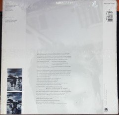 STING - THE DREAM OF THE BLUE TURTLES (1985) - 2.EL PLAK