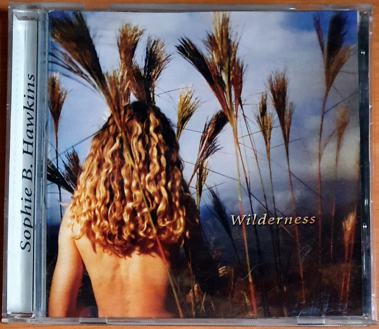 SOPHIE B. HAWKINS - WILDERNESS (2004) - CD 2.EL