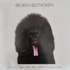 BROKEN BEETHOVEN curated by STEFAN FRICKE (2020) - LP PLAK SIFIR (ALPER MARAL, KOCH, WAGNER,MUENZ...)