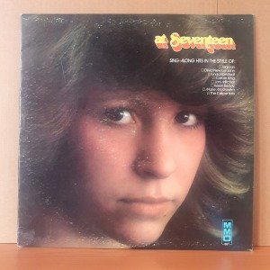 AT SEVENTEEN / SING-ALONG HITS IN THE STYLE OF: JANIS IAN, OLIVIA NEWTON-JOHN, LINDA RONSTADT, CAROLE KING, JONI MITCHELL, HELEN REDDY - LP 2.EL PLAK