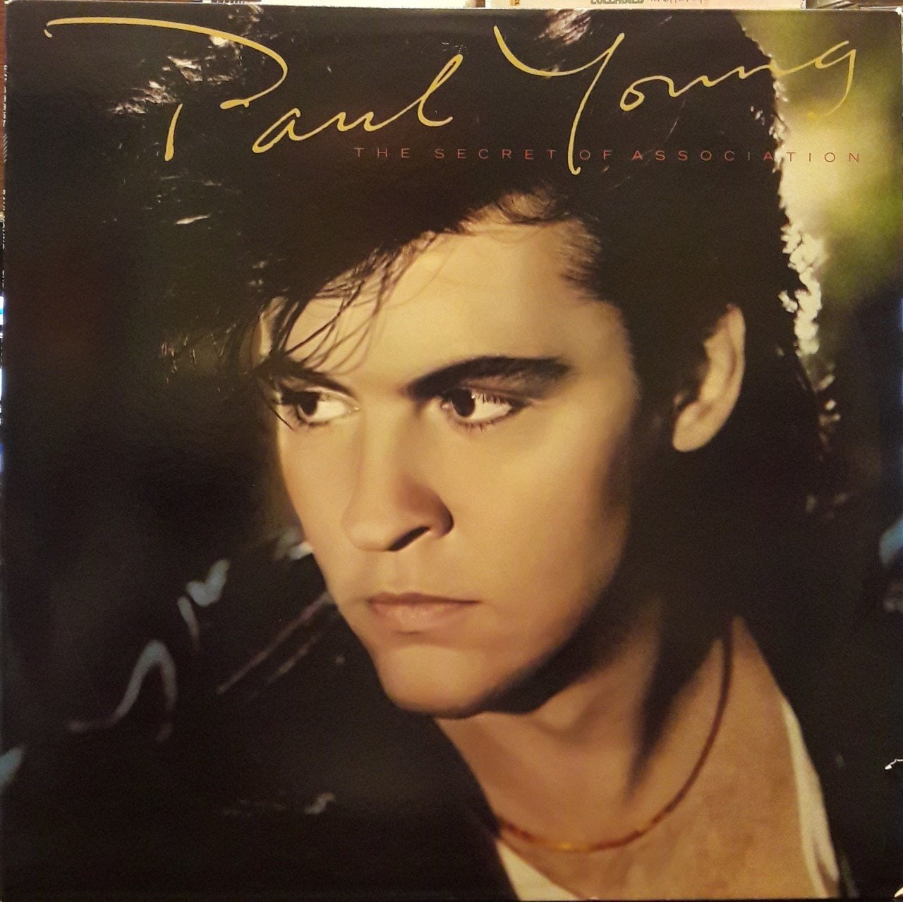 PAUL YOUNG - THE SECRET OF ASSOCIATION (1985) - PLAK 2.EL