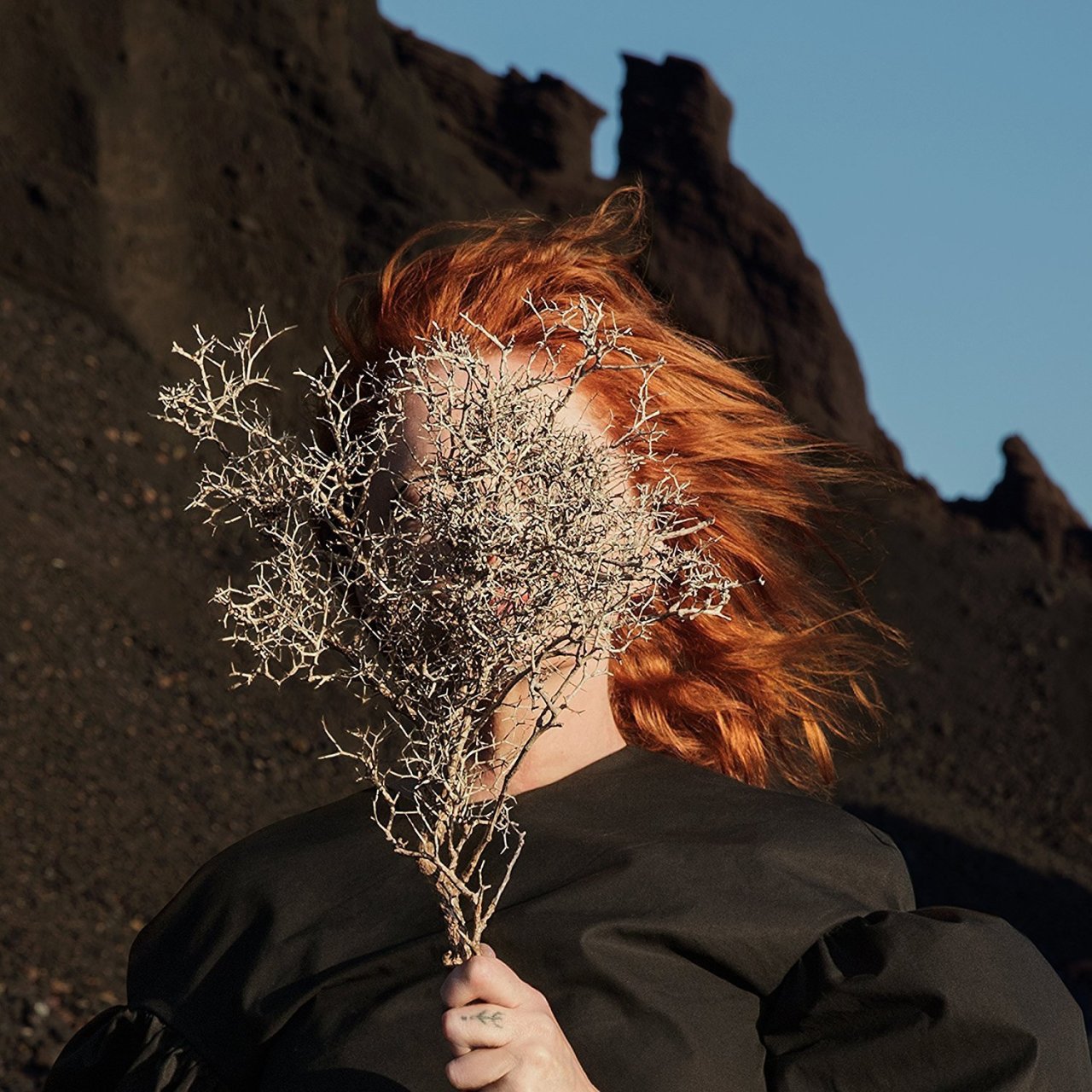 GOLDFRAPP - SILVER EYE (2017) - SIFIR PLAK
