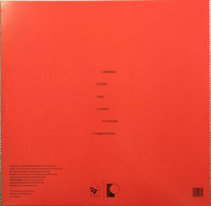 ANADOL - UZUN HAVALAR (2019) - LP SIFIR PLAK