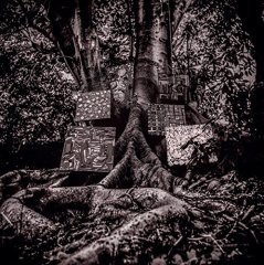 KAMASI WASHINGTON - HARMONY OF DIFFERENCE(2017) - PLAK SIFIR