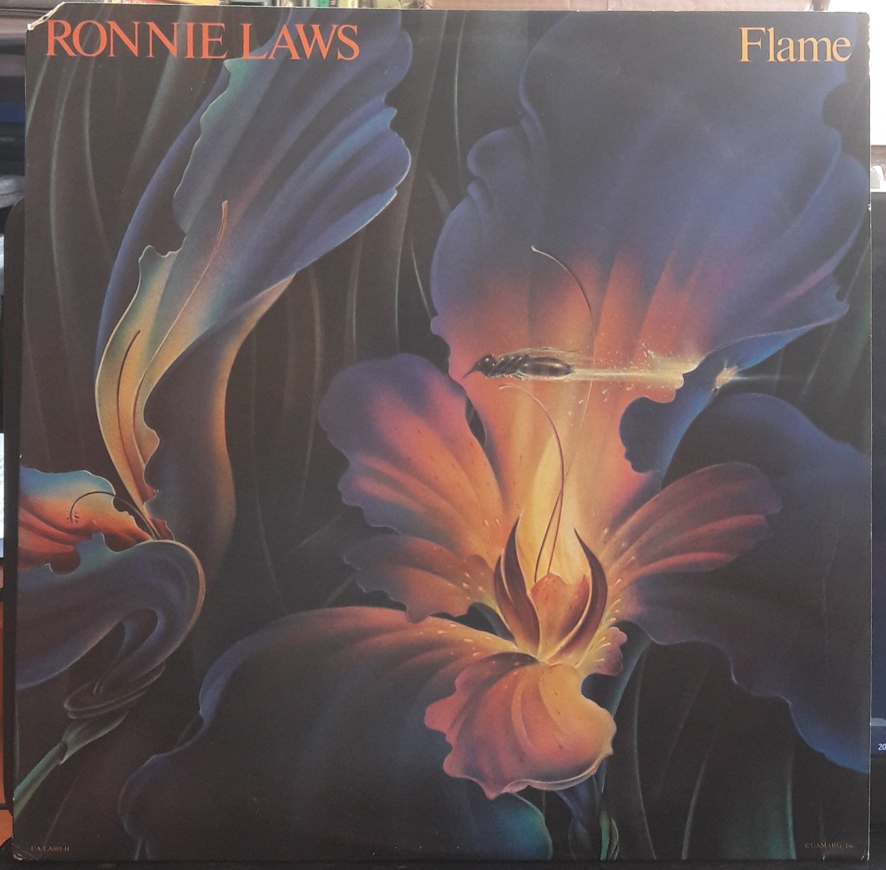 RONNIE LAWS - FLAME (1978) - PLAK 2.EL