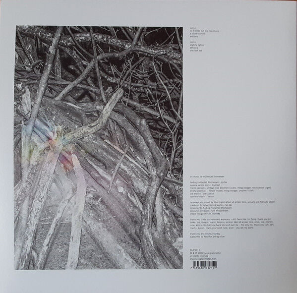 HEDVIG MOLLESTAD TRIO - EKHIDNA - LP 2020 WHITE COLOURED EDITION SIFIR PLAK
