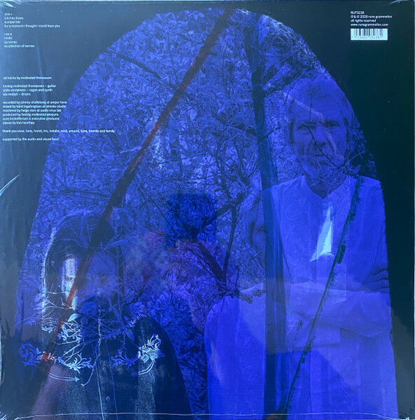 HEDVIG MOLLESTAD WEEJUNS - BITCHES BLUES (2026) - LP SIFIR PLAK