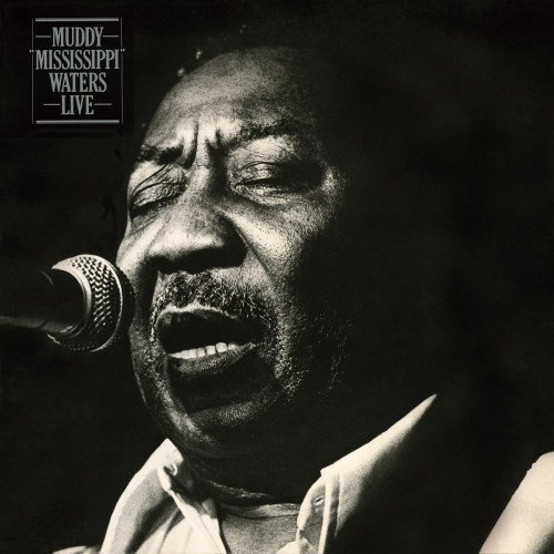 MUDDY WATERS - MUDDY MISSISSIPPI TATERS LIVE (1979) - LP 180GR 2015 EDITION SIFIR PLAK