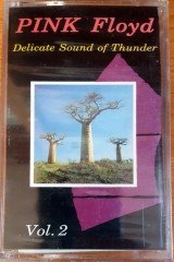 PINK FLOYD - DELICATE SOUND OF THUNDER VOL 2 CASSETTE MADE IN TURKEY ''NEW'' PAPER LABEL