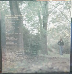 WAYLON JENNINGS - ARE YOU READY FOR THE COUNTRY (1976) - PLAK 2.EL