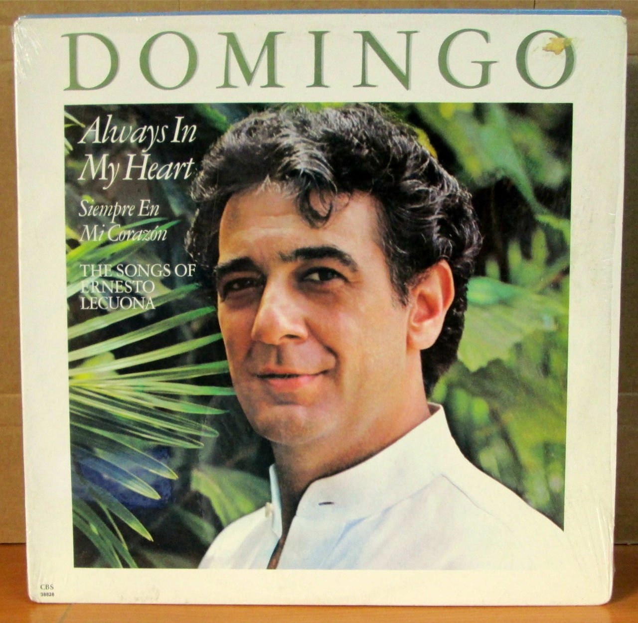 PLACIDO DOMINGO - ALWAYS IN MY HEART - LP 2.EL