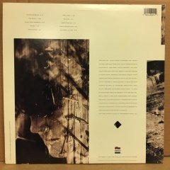 PATRICK O'HEARN - RIVERS GONNA RISE 1988 2.EL PLAK
