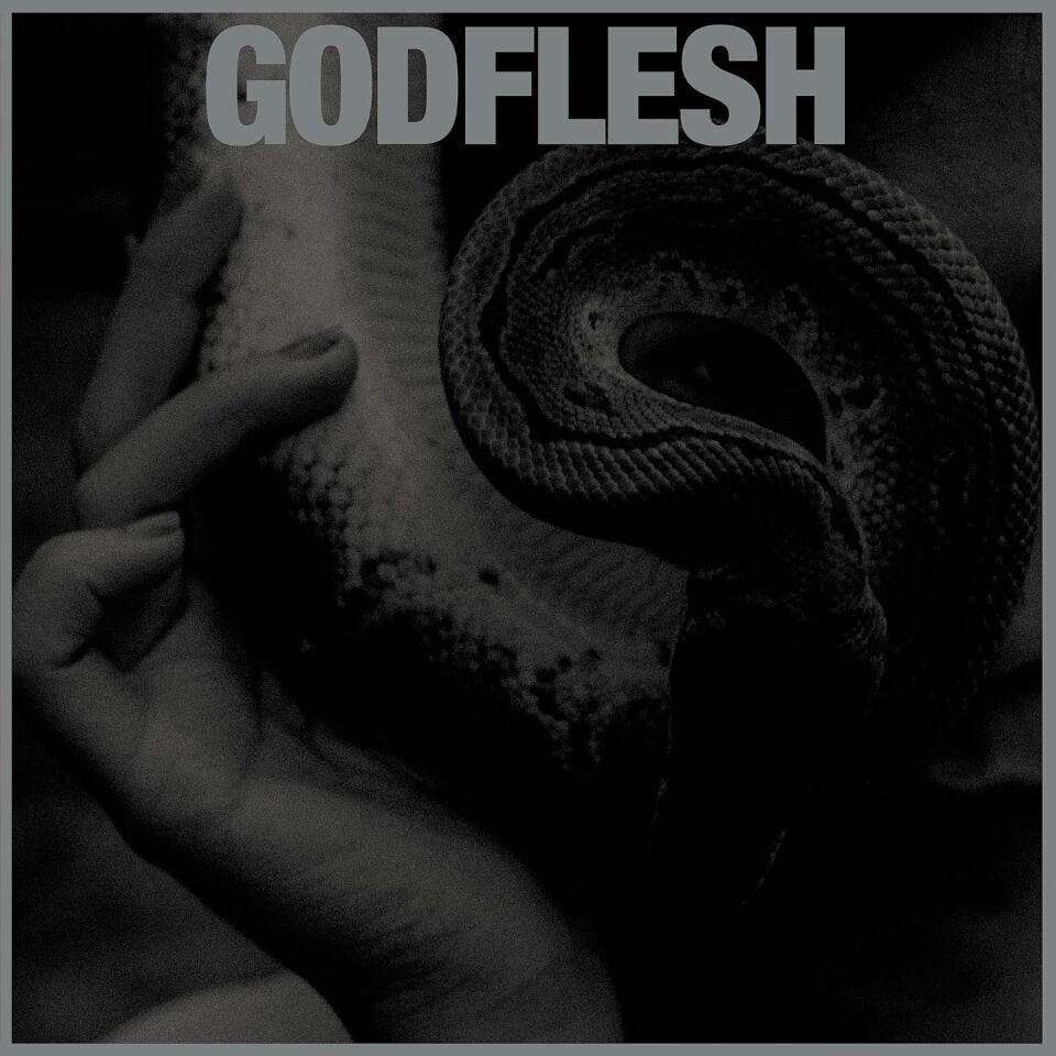 GODFLESH - PURGE (2023) - LP SIFIR PLAK
