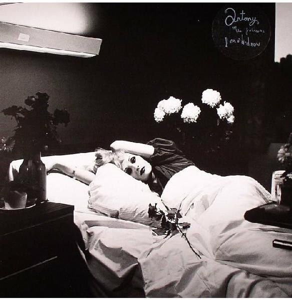 ANTONY AND THE JOHNSONS – I AM A BIRD NOW (2005) - LP SIFIR PLAK