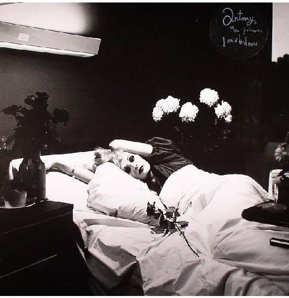 ANTONY AND THE JOHNSONS – I AM A BIRD NOW (2005) - LP SIFIR PLAK